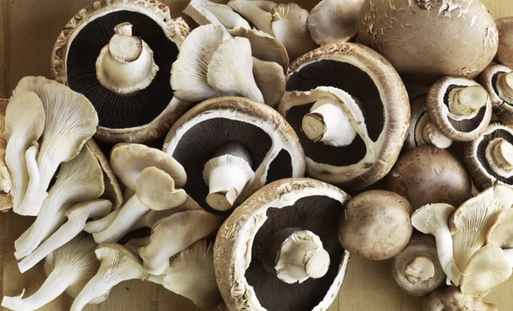 spread out portabello mushrooms