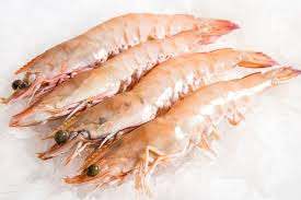 Indian prawns