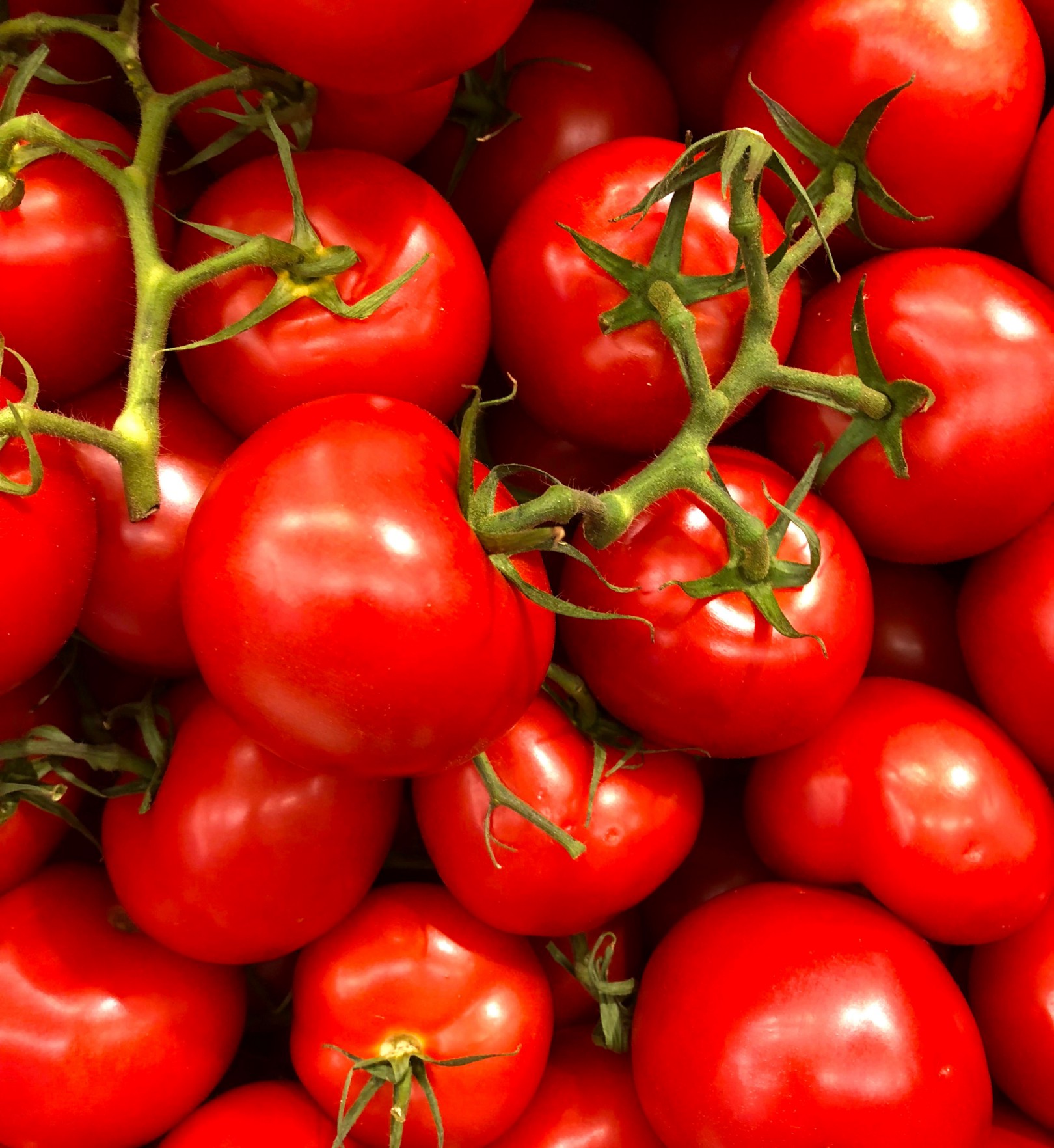 tomatoes from Sicilian province of syracuse